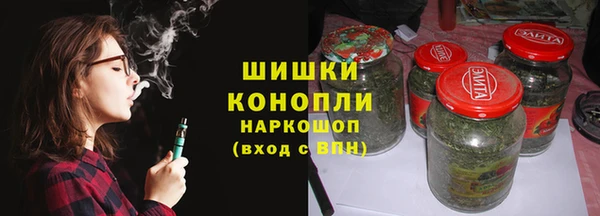 крисы Надым