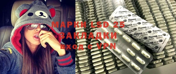крисы Надым