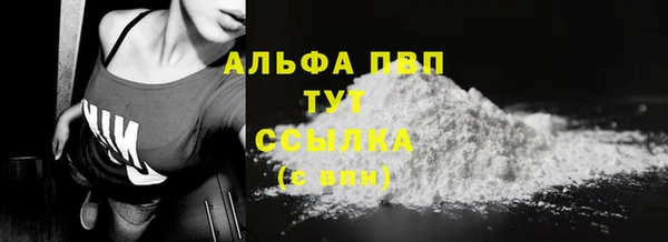 крисы Надым