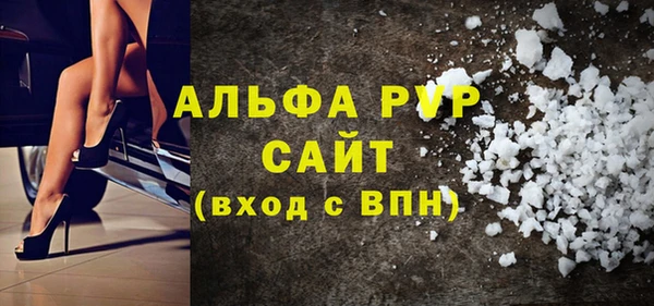 крисы Надым
