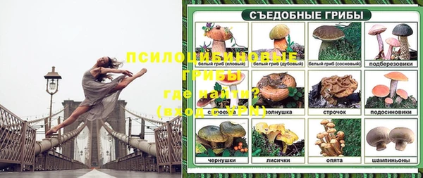 крисы Надым