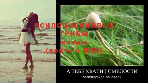 крисы Надым