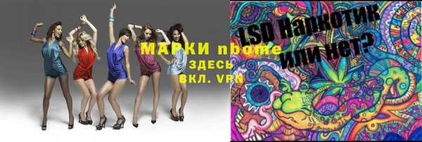 крисы Надым
