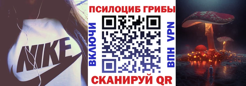 закладки  Галич  Псилоцибиновые грибы Cubensis 
